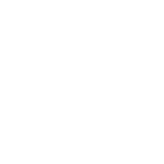 اسکچرز – Skechers - نوپا قشم